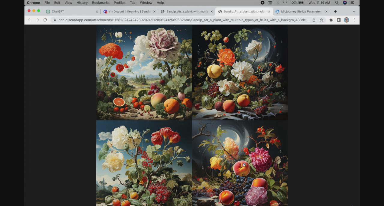 【副业8871期】ChatGPT4 和 MidJourney AI 绘画聊天革命性指南教程-33节视频课-中英字幕-元满创业网