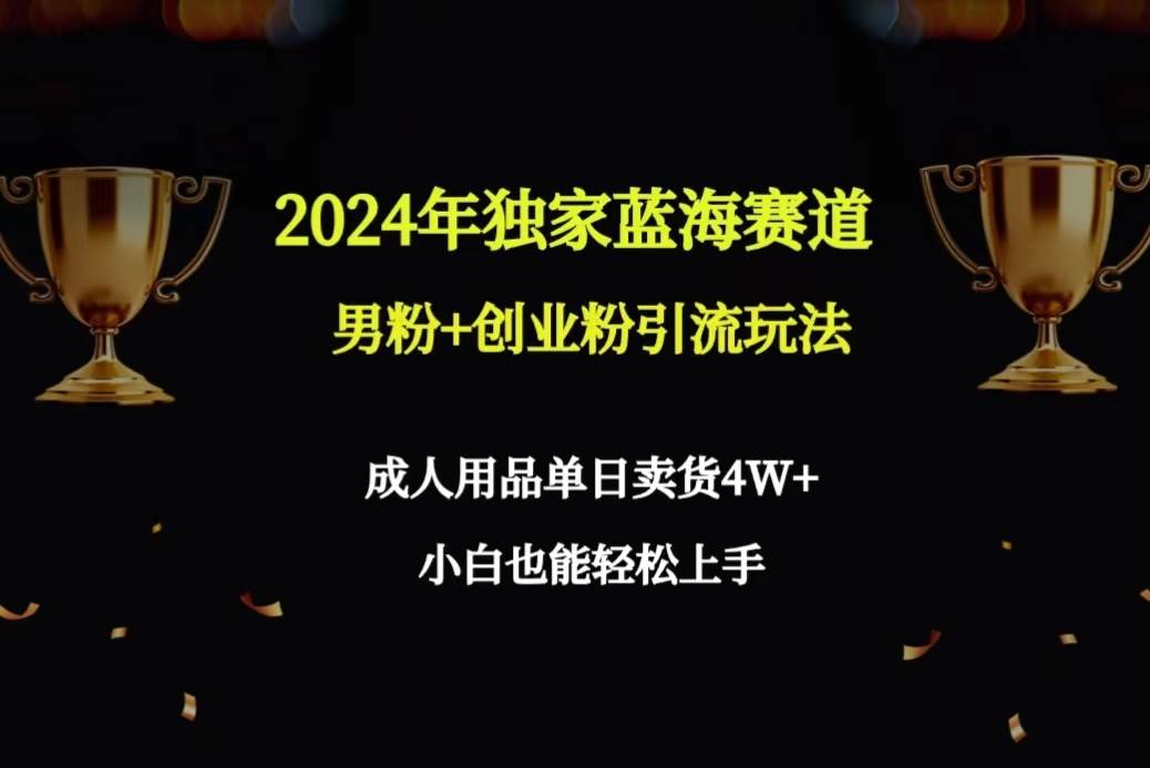 2024年独家蓝海赛道男粉+创业粉引流玩法，成人用品单日卖货4W+保姆教程-元满创业网