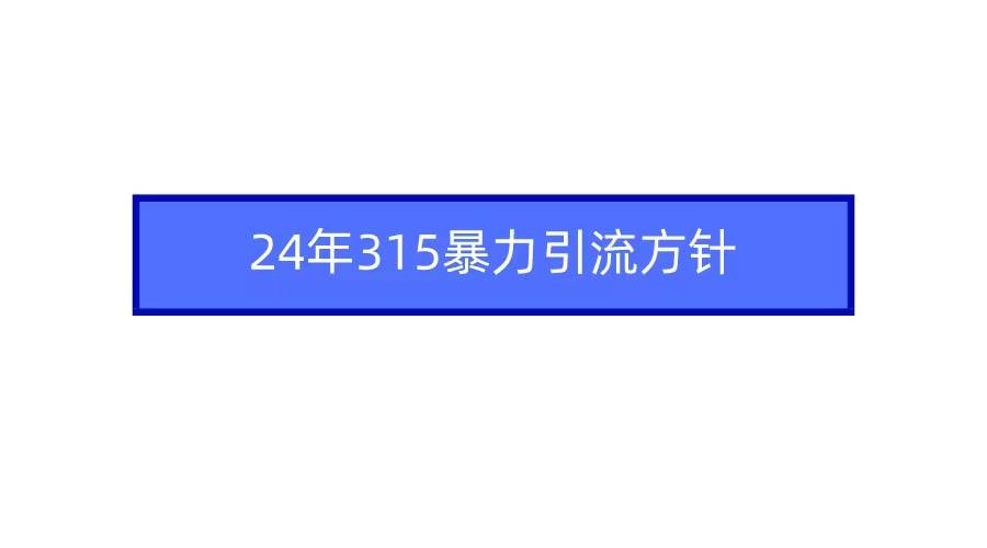 2024年315暴力引流方针-元满创业网