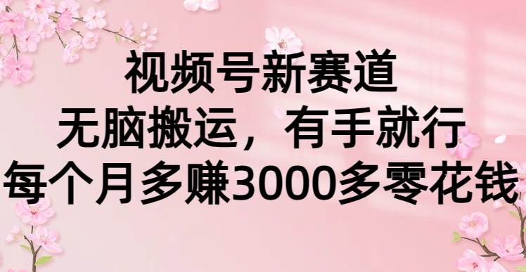 视频号新赛道，无脑搬运，有手就行，每个月多赚3000多零花钱-元满创业网