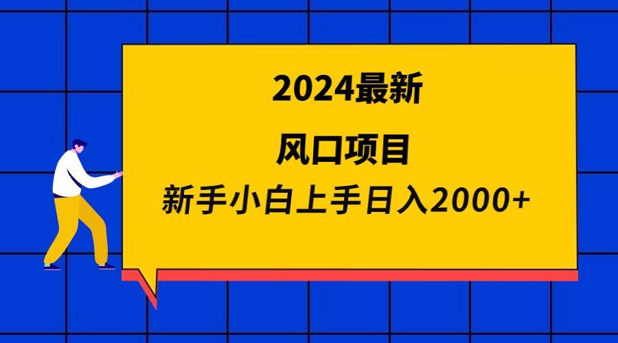 2024最新风口项目 新手小白日入2000+-元满创业网