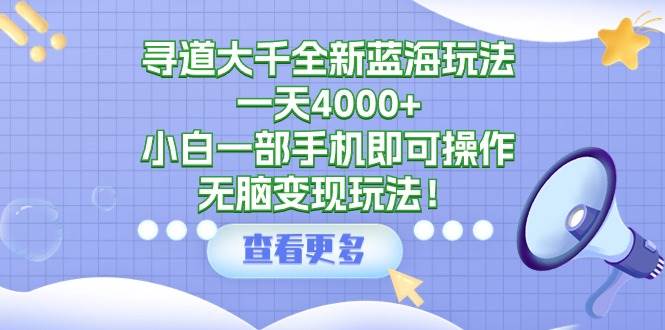 寻道大千全新蓝海玩法，一天4000+，小白一部手机即可操作，无脑变现玩法！-元满创业网