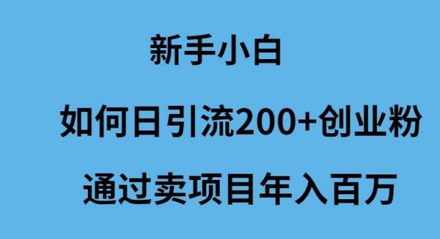 新手小白如何日引流200+创业粉通过卖项目年入百万-元满创业网