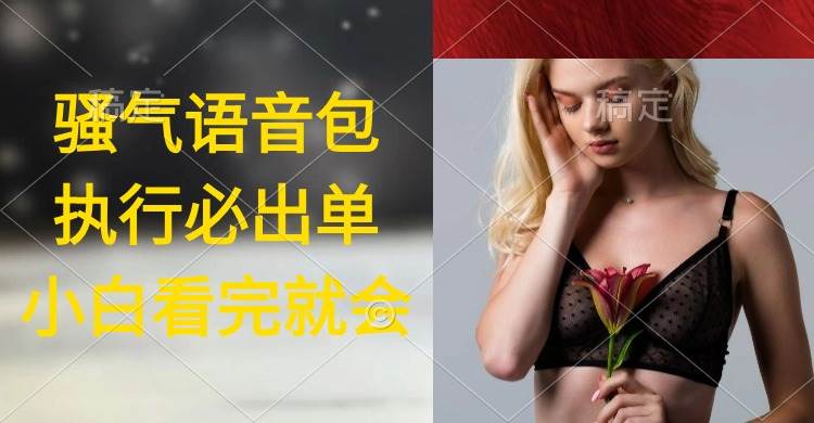 执行就出单，日入2000+，超火骚气语音包，小白看完课程就能马上实操-元满创业网