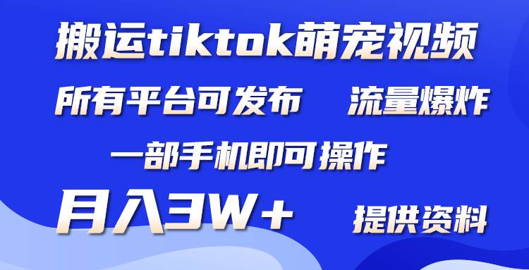 搬运Tiktok萌宠类视频，一部手机即可。所有短视频平台均可操作，月入3W+-元满创业网