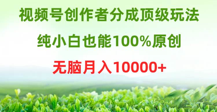 视频号创作者分成顶级玩法，纯小白也能100%原创，无脑月入10000+-元满创业网
