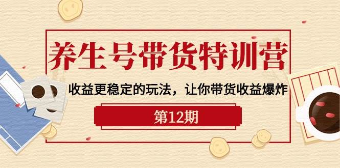 养生号带货特训营【12期】收益更稳定的玩法，让你带货收益爆炸-9节直播课-元满创业网