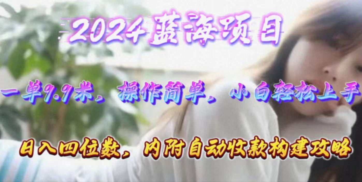 年轻群体的蓝海市场，1单9.9元，操作简单，小白轻松上手，日入四位数-元满创业网