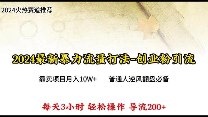 2024年最新暴力流量打法，每日导入300+，靠卖项目月入10W+-元满创业网