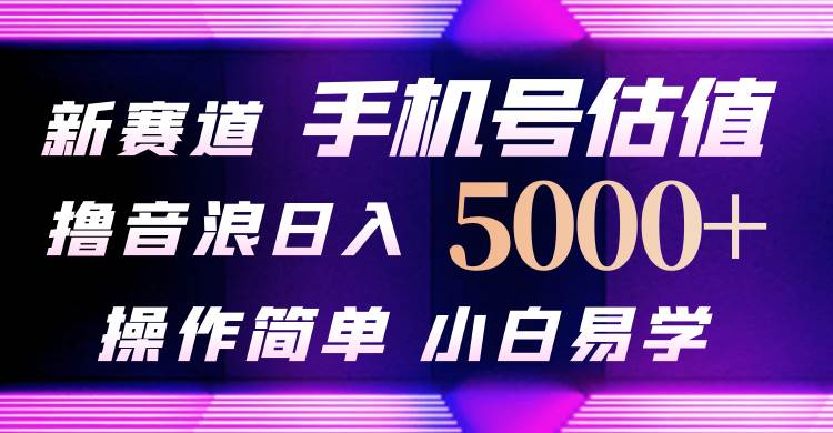 抖音不出境直播【手机号估值】最新撸音浪，日入5000+，简单易学，适合…-元满创业网