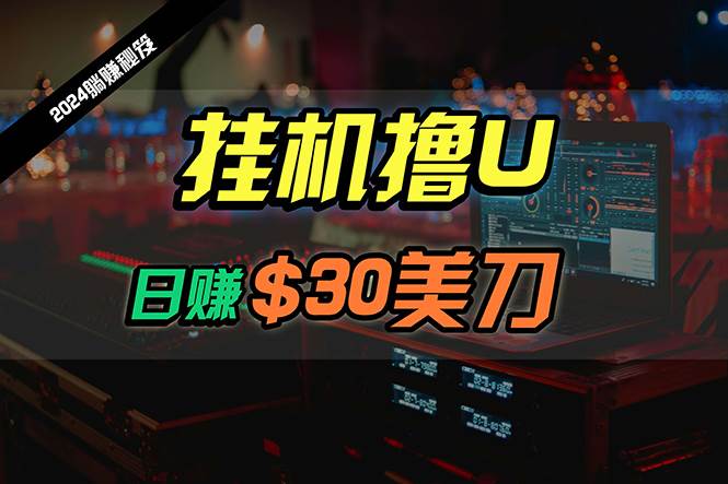 日赚30美刀，2024最新海外挂机撸U内部项目，全程无人值守，可批量放大-元满创业网