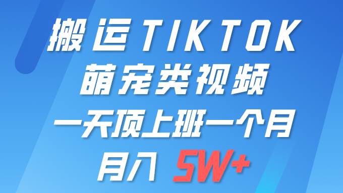 一键搬运TIKTOK萌宠类视频 一部手机即可操作 所有平台均可发布 轻松月入5W+-元满创业网