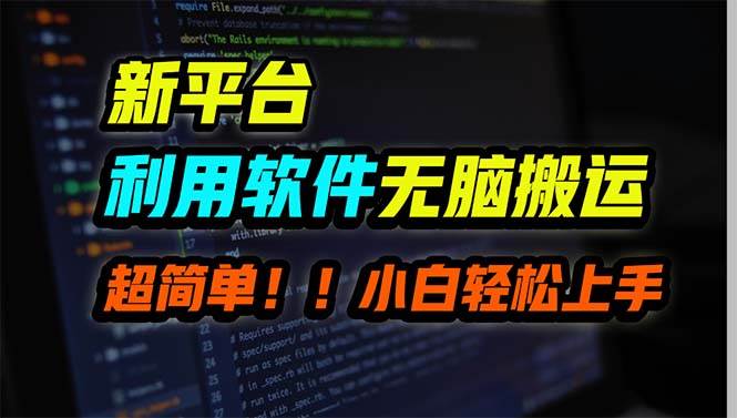 新平台用软件无脑搬运，月赚10000+，小白也能轻松上手-元满创业网