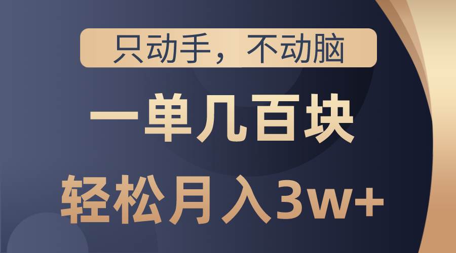 只动手不动脑，一单几百块，轻松月入3w+，看完就能直接操作，详细教程-元满创业网