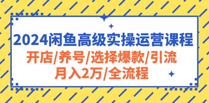 2024闲鱼高级实操运营课程：开店/养号/选择爆款/引流/月入2万/全流程-元满创业网