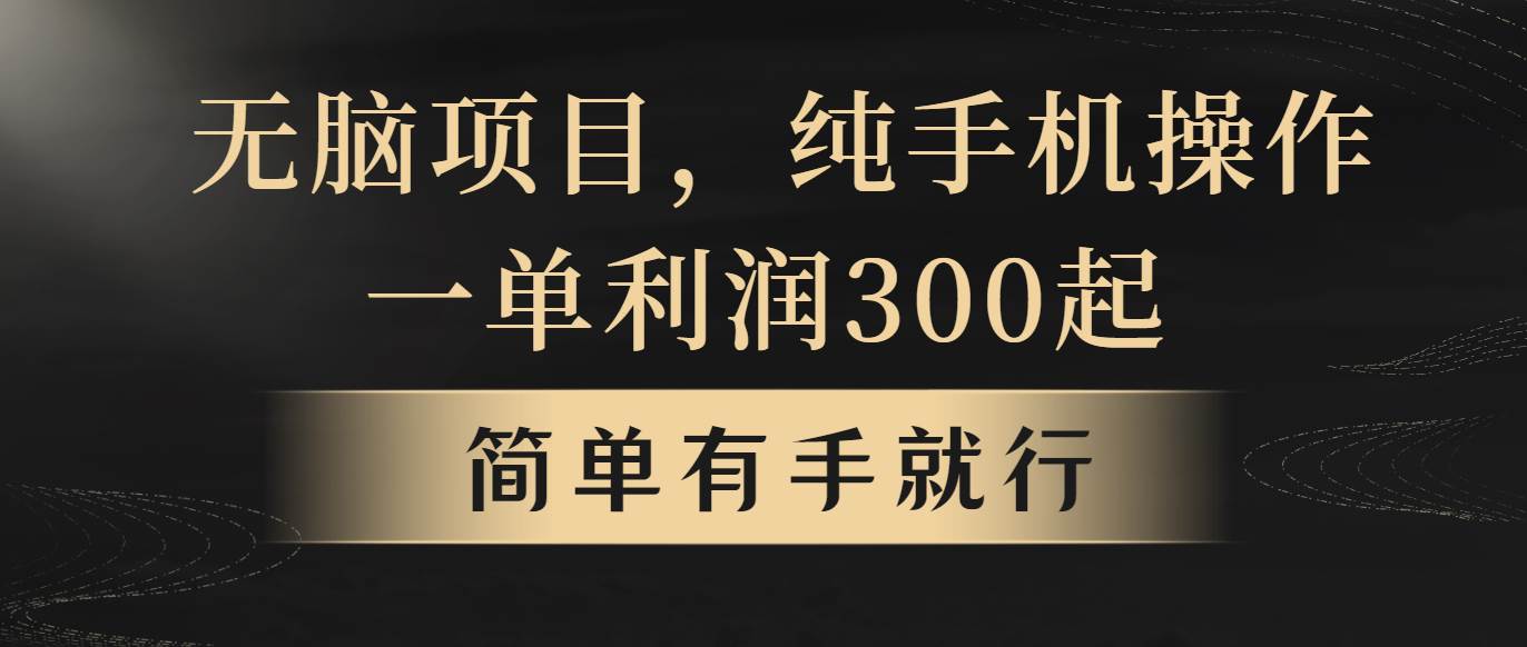 无脑项目，一单几百块，轻松月入5w+，看完就能直接操作-元满创业网