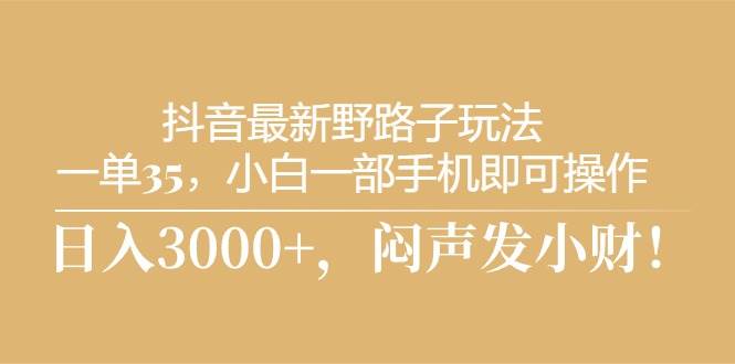 抖音最新野路子玩法，一单35，小白一部手机即可操作，，日入3000+，闷…-元满创业网
