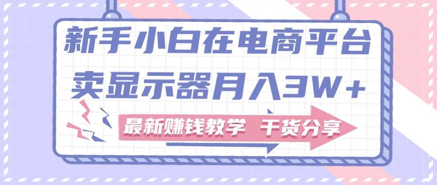 新手小白如何做到在电商平台卖显示器月入3W+，最新赚钱教学干货分享-元满创业网