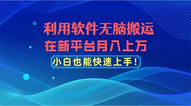 利用软件无脑搬运，在新平台月入上万，小白也能快速上手-元满创业网