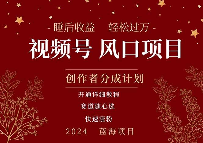 拥有睡眠收益的微信视频号大风口项目，轻松月入过万+，多赛道选择，可…-元满创业网