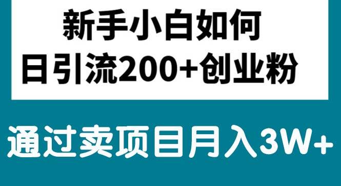 新手小白日引流200+创业粉,通过卖项目月入3W+-元满创业网