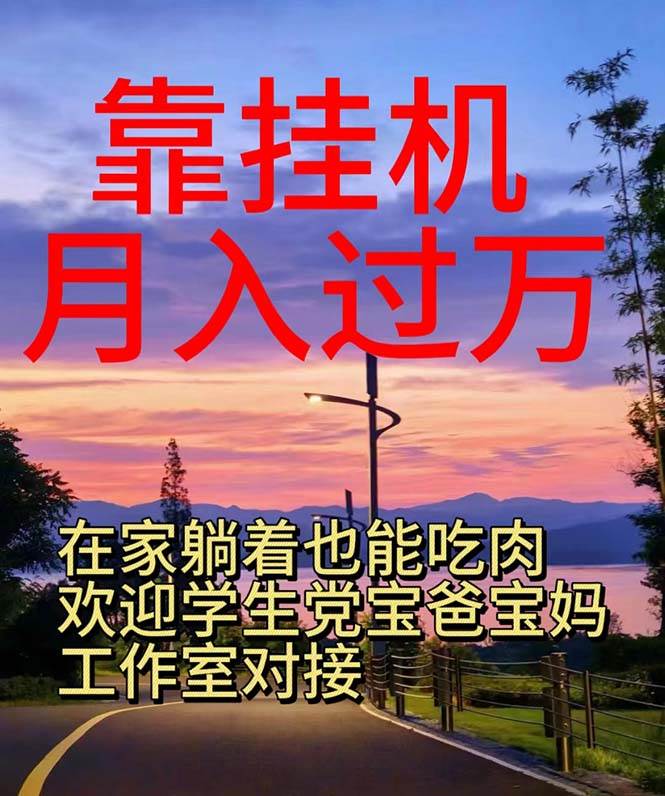 靠挂机，日入1000+，躺着也能吃肉，电脑手机都可挂-元满创业网
