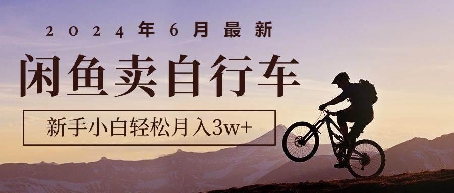 2024年6月最新闲鱼卖自行车，新手小白轻松月入3w+项目-元满创业网