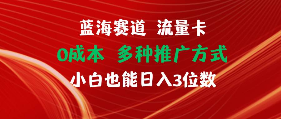 蓝海赛道 流量卡 0成本 小白也能日入三位数-元满创业网