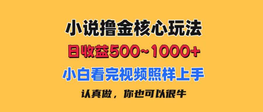 小说撸金核心玩法，日收益500-1000+，小白看完照样上手，0成本有手就行-元满创业网