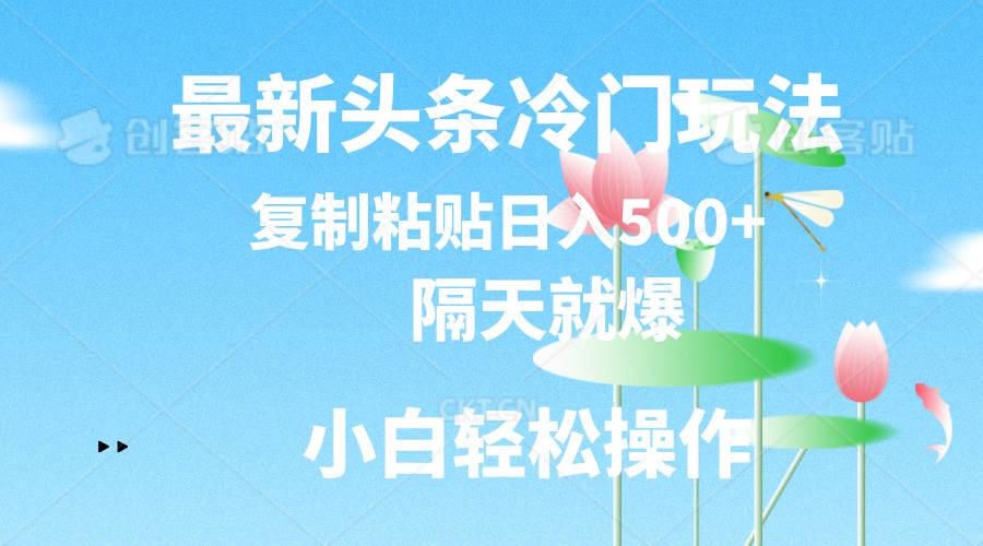 最新头条冷门玩法，隔天就爆，复制粘贴日入500+-元满创业网