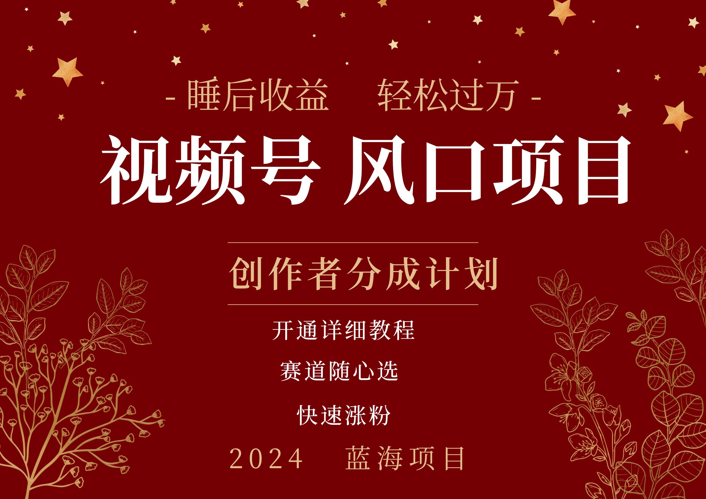 拥有睡眠收益的微信视频号大风口项目，轻松月入过万+，多赛道选择，可矩阵，玩法简单轻松上手-元满创业网