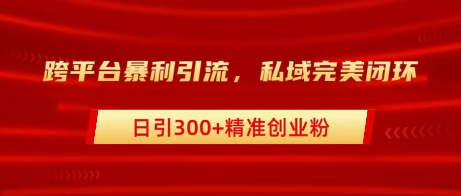 跨平台暴力引流，私域完美闭环，日引300+精准创业粉-元满创业网