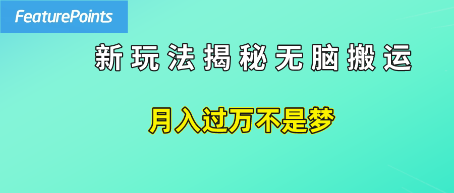 简单操作，每天50美元收入，搬运就是赚钱的秘诀！-元满创业网