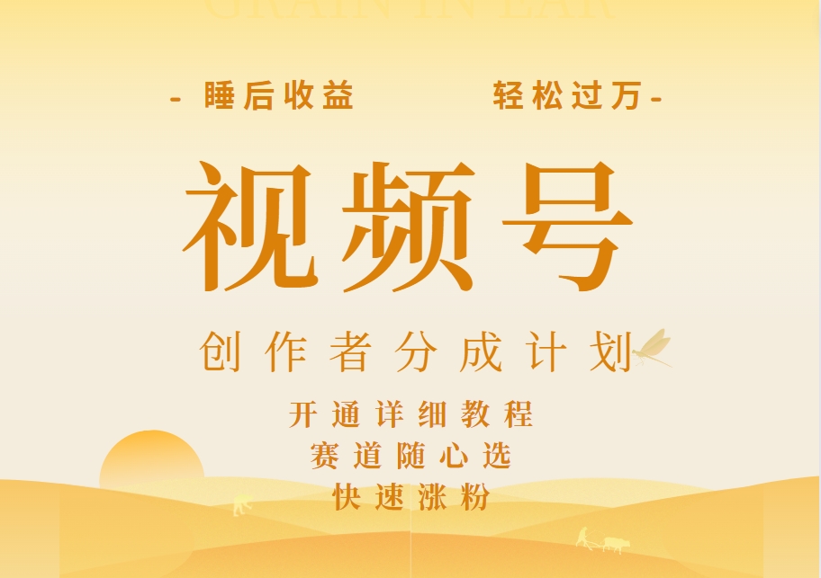 详解视频号创作者分成计划，暴力起号，可同步多平台，实现睡后收入2W+，看懂即可操作！-元满创业网