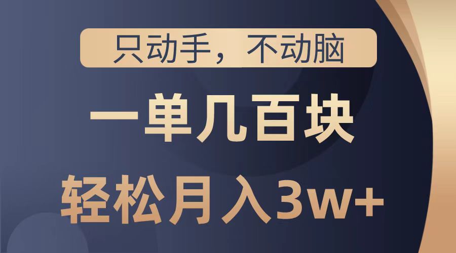 只动手不动脑，一单几百块，轻松月入2w+，看完就能直接操作，详细教程-元满创业网