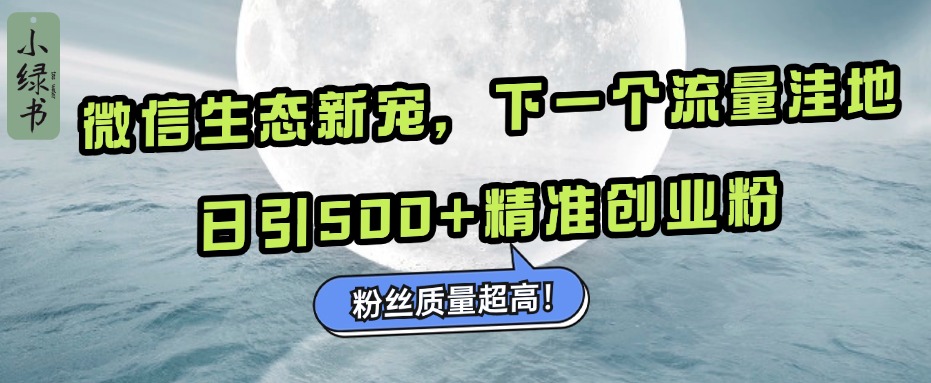 微信生态新宠小绿书：下一个流量洼地，粉丝质量超高，日引500+精准创业粉，-元满创业网