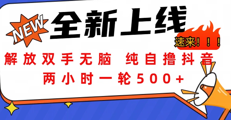 解放双手无脑 纯自撸抖音 两小时一轮500+-元满创业网