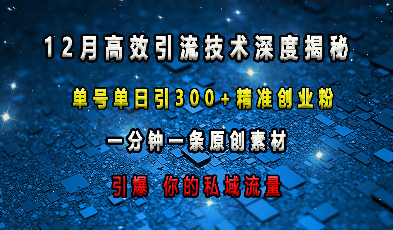 12月高效引流技术深度揭秘 ，单号单日引300+精准创业粉，一分钟一条原创素材，引爆你的私域流量-元满创业网