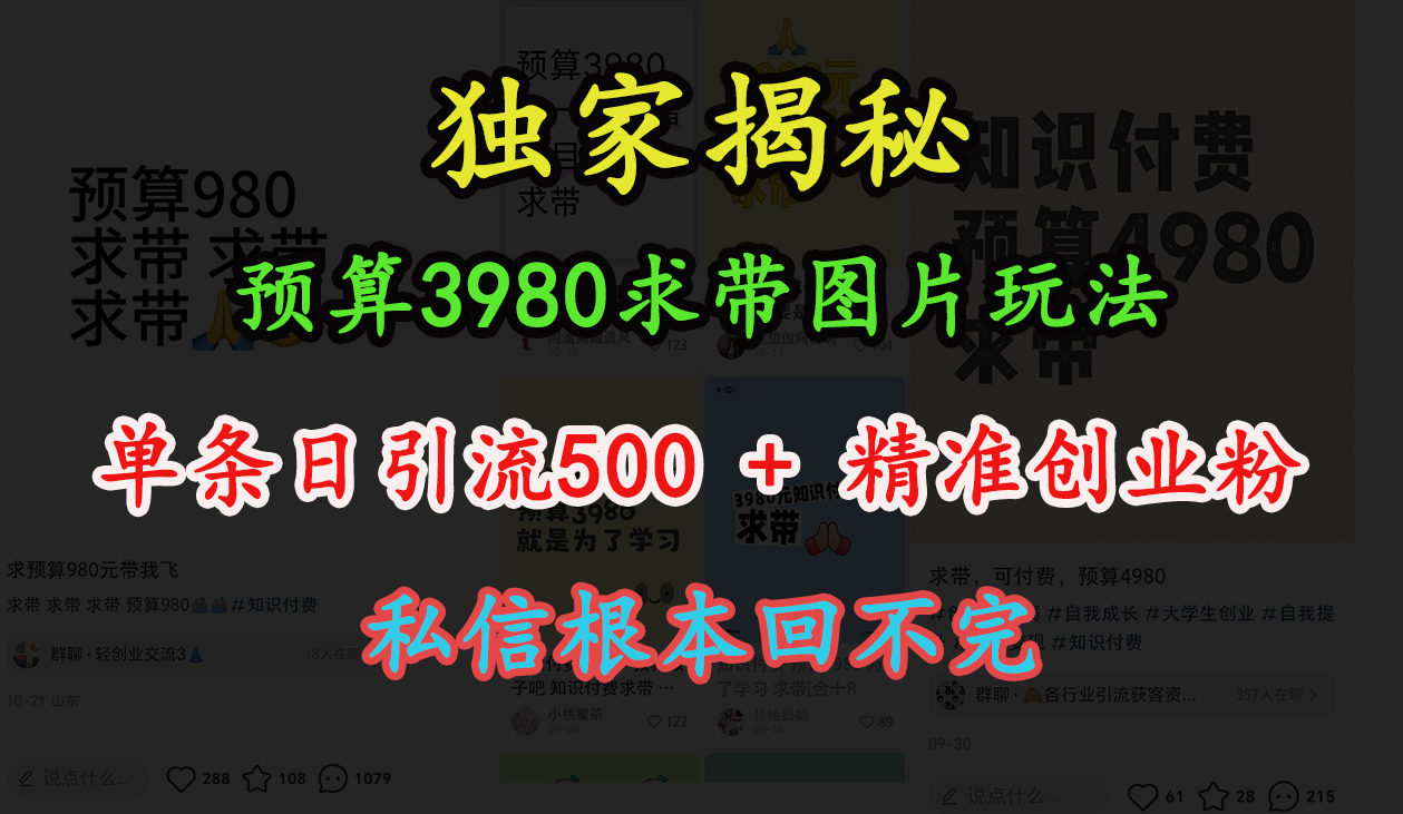 “小红书”预算3980求带 图片玩法，单条日引流500+精准创业粉，私信根本回不完-元满创业网
