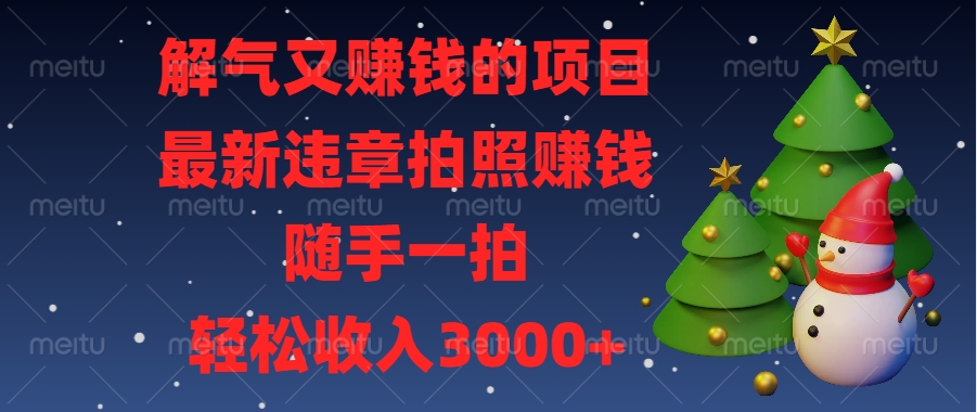 最新违章拍照赚钱，随手一拍，解气又赚钱的项目，轻松收入3000+-元满创业网
