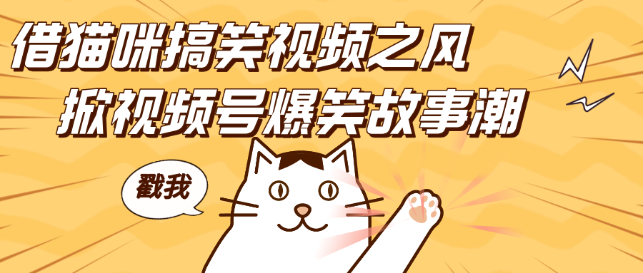 借猫咪搞笑视频之风，掀视频号爆笑故事潮，轻松日赚四位数，开启无门槛赚钱新体验！-元满创业网