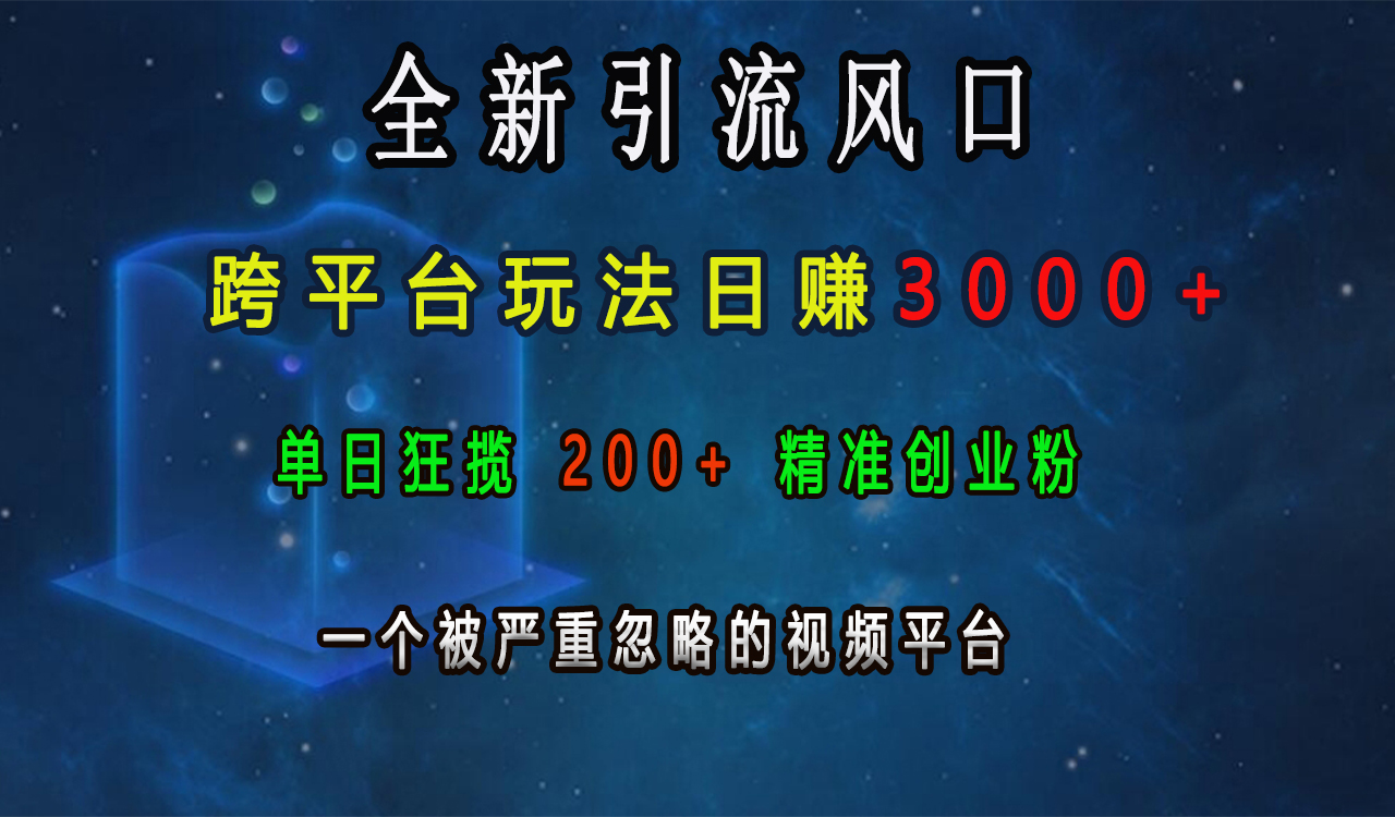 全新引流风口，跨平台玩法日赚3000+，单日狂揽200+精准创业粉，一个被严重忽略的视频平台-元满创业网