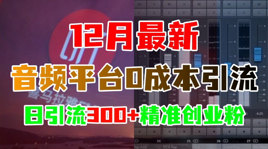 12月最新：音频平台0成本引流，日引300+精准创业粉-元满创业网