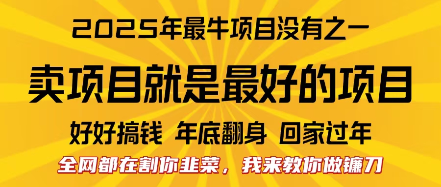 全网都在割你韭菜，我来教你做镰刀。卖项目就是最好的项目，2025年最牛互联网项目-元满创业网