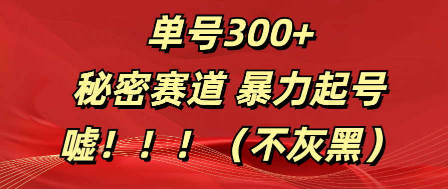 单号300+  秘密赛道 暴力起号  （不灰黑）-元满创业网