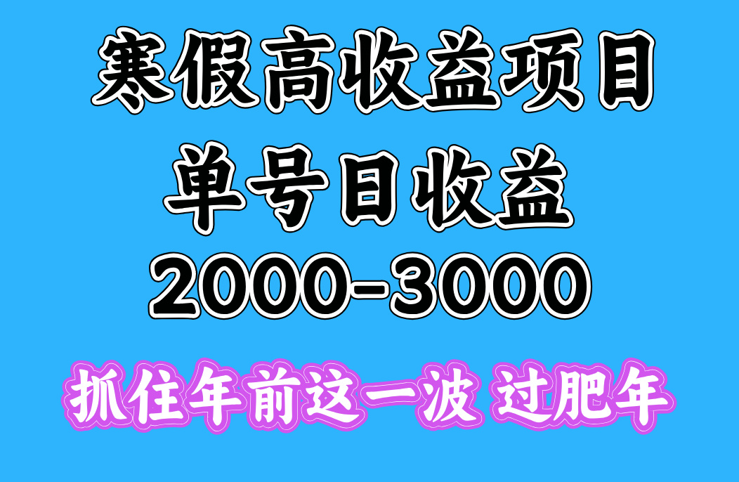 寒假期间一天收益2000-3000+，抓住年前这一波-元满创业网