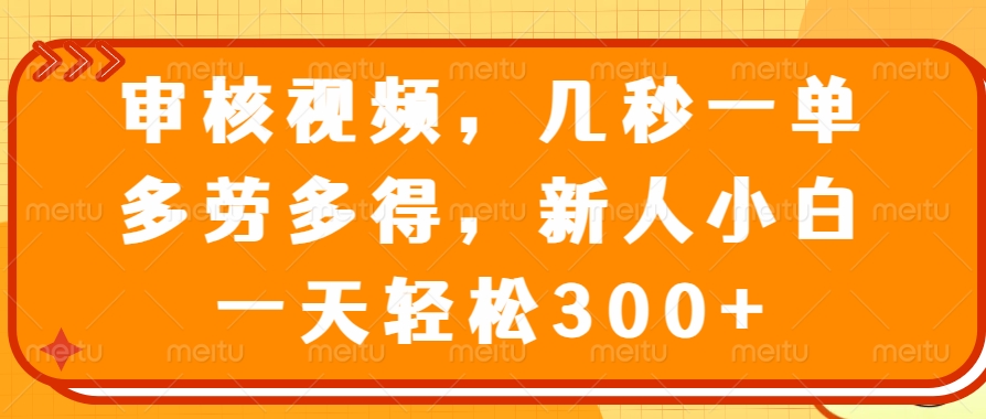审核视频项目，几秒一单，多劳多得，新人小白一天轻松300+-元满创业网