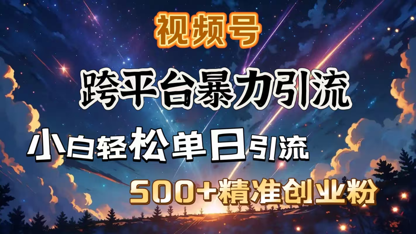 视频号跨平台暴力引流，小白轻松单日引流500＋精准创业粉-元满创业网