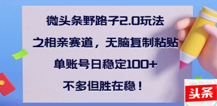 全网首发微头条野路子2.0玩法之相亲赛道，无脑搬砖复制粘贴，单账号日稳定300+保姆级教程-元满创业网