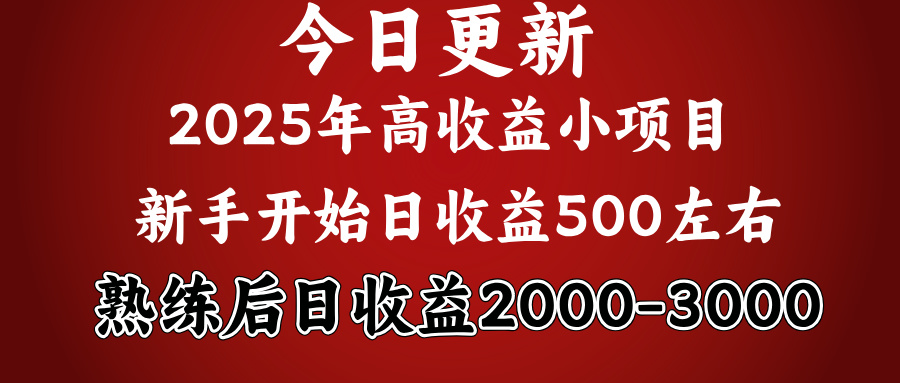 2025开年好项目，新手日收益500+ 熟练掌握后，日收益平均2000多-元满创业网